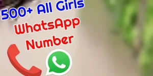 Whatsapp number